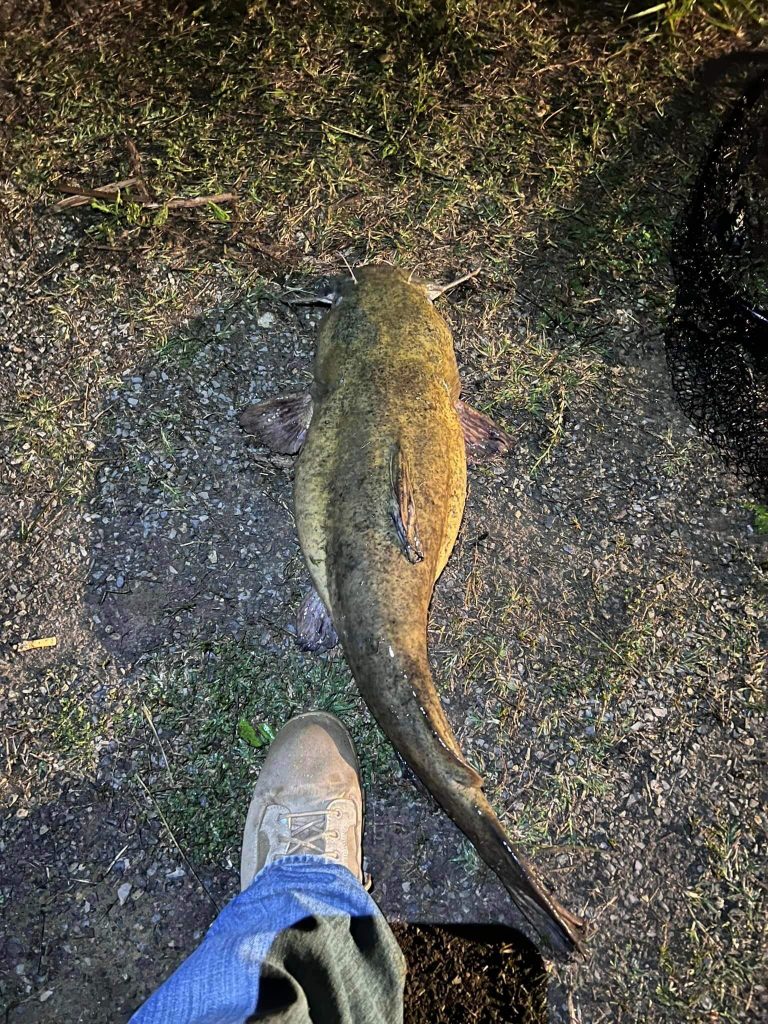 Weasel Junction Catfish Ponds